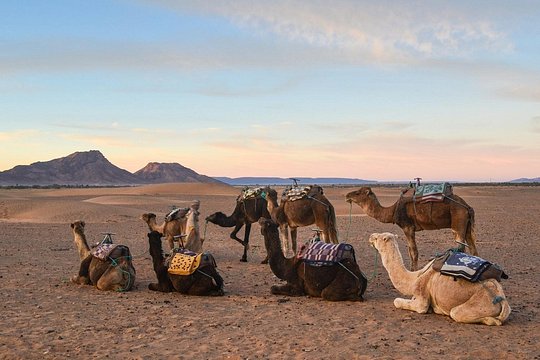 2-Days Zagora desert tour from Marrakech — photograph 4
