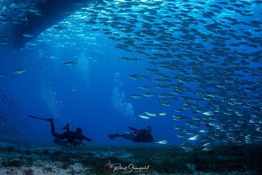 Try Scuba Diving - No previous experience! — fotografia 5