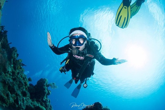 Try Scuba Diving - No previous experience! — fotografia 3