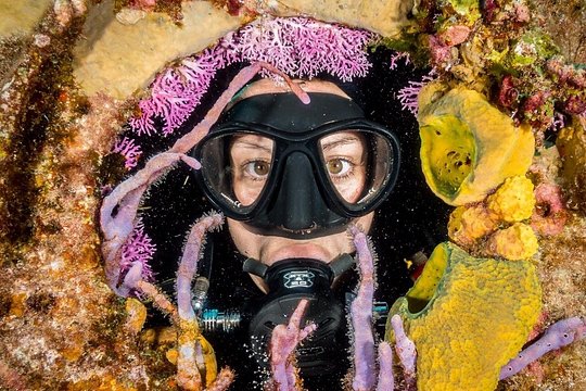Try Scuba Diving - No previous experience! — fotografia 4