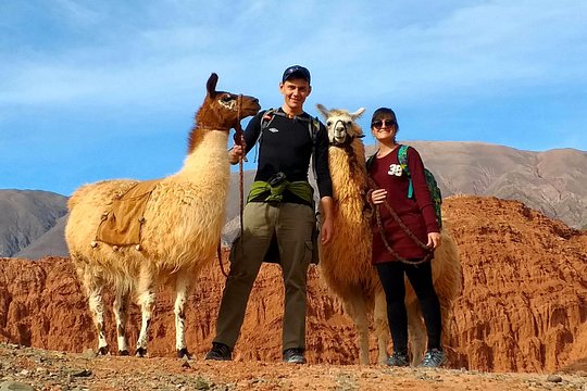 Purmamarca Walk with Llamas — photograph 5