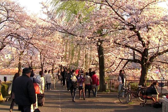 [Private] Tokyo Personalized Tour (Guide Only) — photograph 2