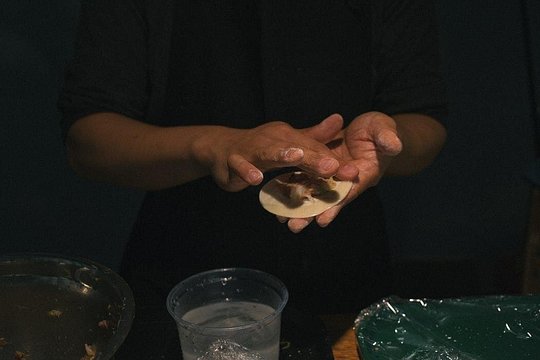 Gyoza Cooking Classes in Tokyo — photograph 3