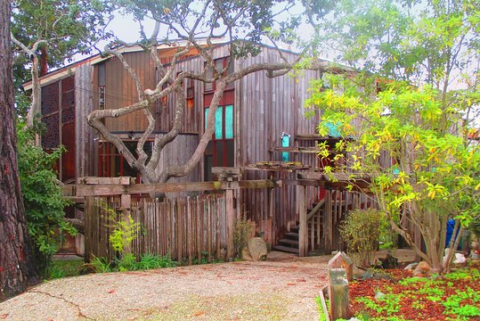 Off the Beaten Path in Carmel-by-the-Sea: A Self-Guided Tour — photograph 2
