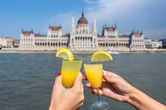 ブダペスト・ドナウクルーズ（ドリンク付）、オーディオガイド — 写真5
