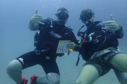 PADI advanced open water course — Foto 4