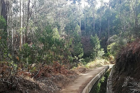 Levada Serra D´Agua — photograph 2