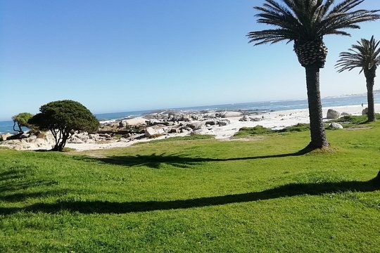 Cape Peninsula Day Tour — foto 2