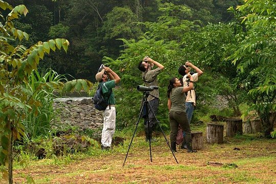 Arenal Volcano Bird Watching Experience — photograph 3