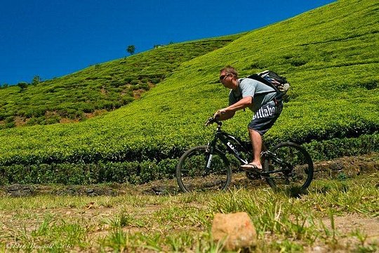 Ella Cycling Tour — foto 2