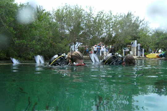 Discover Scuba Diving in Tulum — foto 4