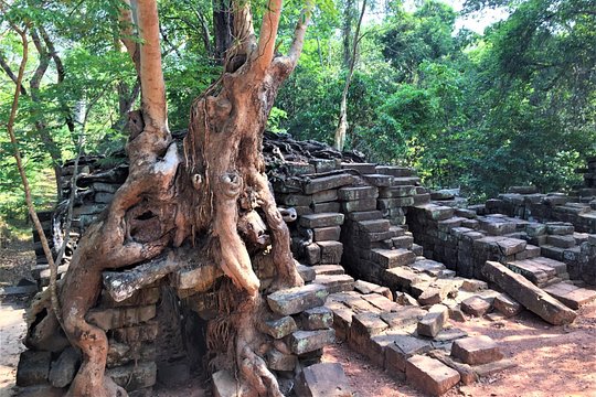 Angkor Wat Sunrise Half Day by Join-in Tour — photograph 5