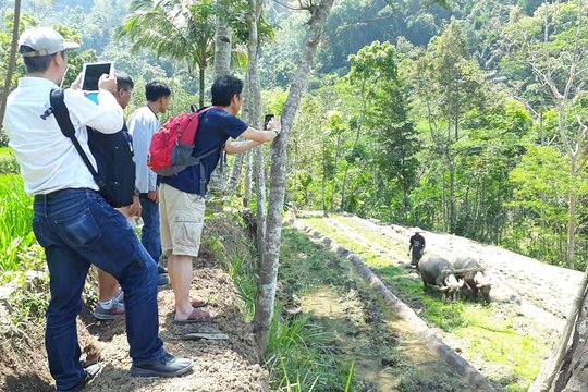 Java Village and Temple Tour from Borobudur — photo 2