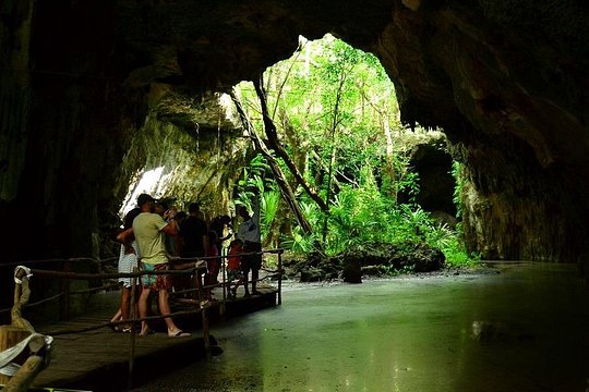 Turtles and Cenote from Cancun — photograph 5