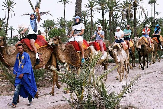 Marrakech activities: Camel ride tour Marrakech — photograph 4