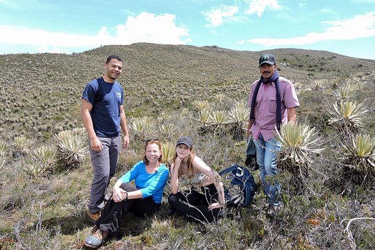Sumapaz Mountaintop Páramo Trek - 3 hours — photograph 4