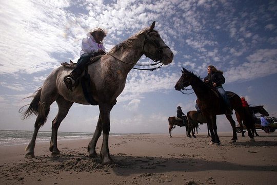 Horse Riding Agadir — photograph 2
