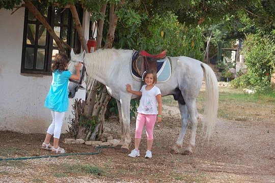 Horse Riding Agadir — photograph 4