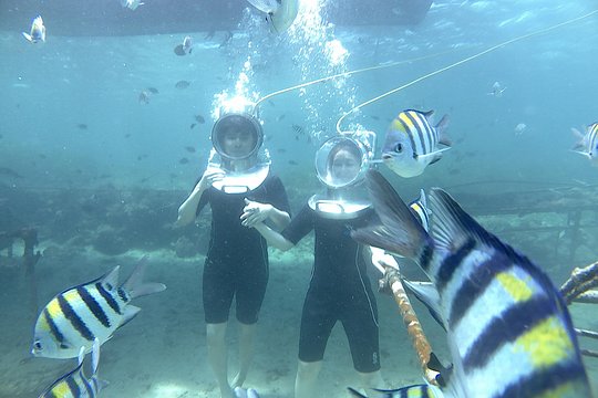Bali Sea Walker Experience — photograph 3