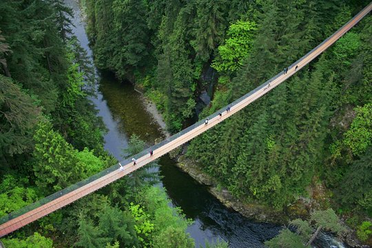 Post-Cruise Shore Excursion: Capilano Suspension Bridge & Grouse Mountain — photograph 3