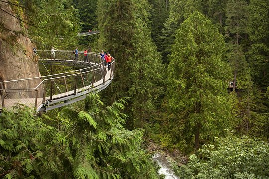 Post-Cruise Shore Excursion: Capilano Suspension Bridge & Grouse Mountain — photograph 4