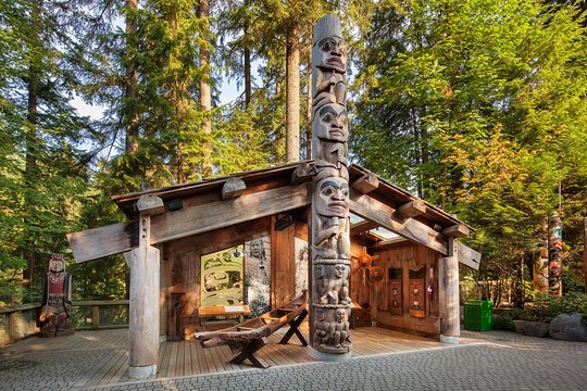 Post-Cruise Shore Excursion: Capilano Suspension Bridge & Grouse Mountain — photograph 5