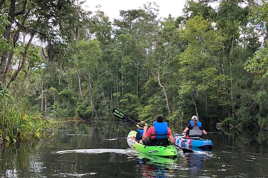 Self-Guided Kayaking: Real Florida Adventure — 사진 2