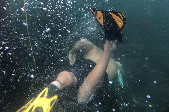 Snorkeling Los Angeles — photograph 5