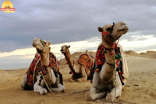 Sunset at Giza pyramids by camel — photograph 5