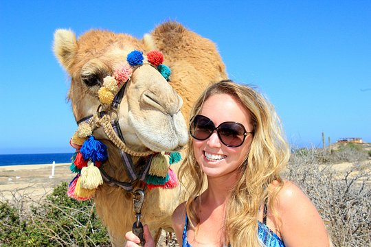 Outback Camel Ride — photograph 5