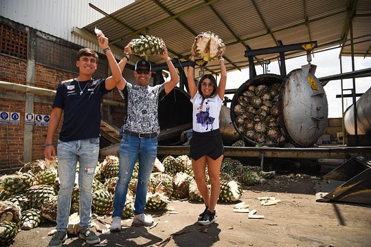 Tequila Route Experience from Guadalajara — photograph 5