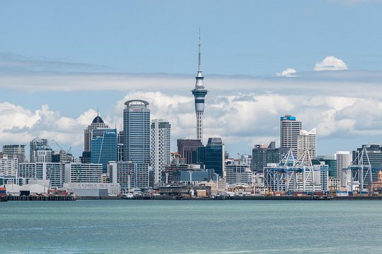 Auckland City Scenic Tour — billede 3