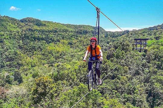 Cebu Safari Adventure — foto 2