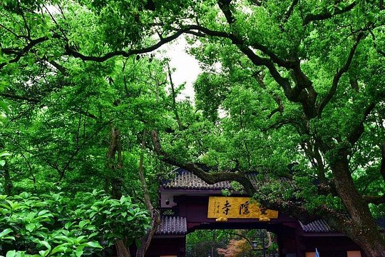 1 Day Hangzhou Private Tour — photograph 2