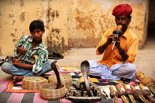 Golden Triangle with Varanasi — Foto 3