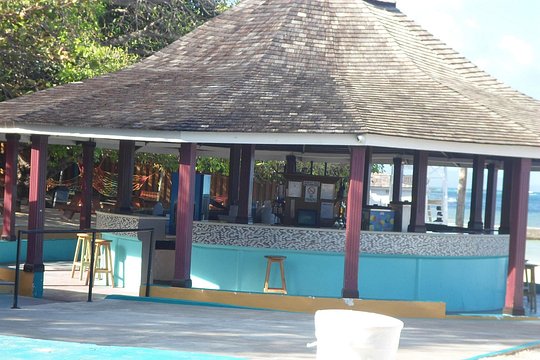 Montego Bay Fast Track Sightseeing Plus Parasailing — billede 5