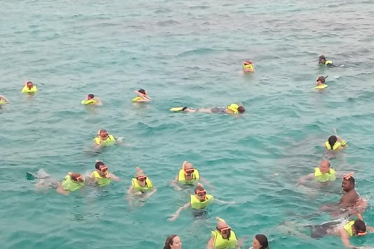 Montego Bay Shore Excursion: Private Snorkel Tour — billede 4