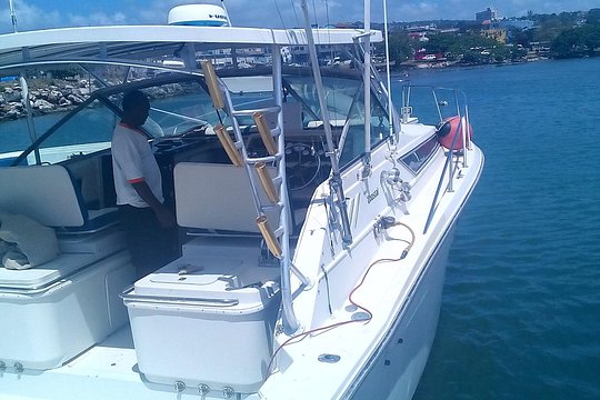 Montego Bay Shore Excursion: Private Snorkel Tour — billede 5