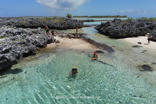 Reef Island Private Tour — Foto 3