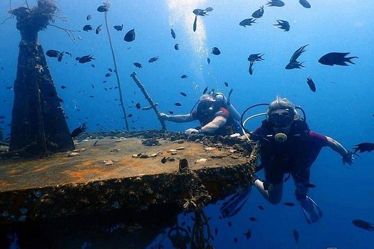 1-Day Adventure in Diving — billede 3