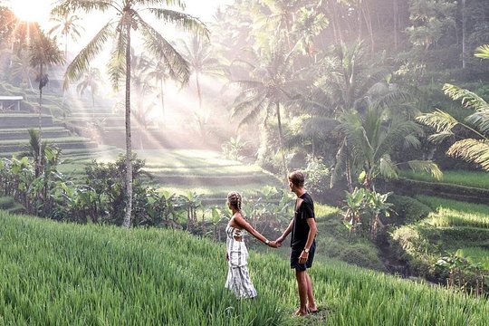 Private Ubud Tour Package — photograph 2