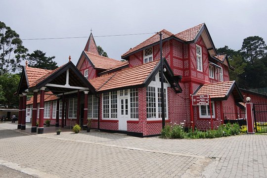 Explore Nuwara Eliya - Waterfall & Tea Factory Tour — photograph 5