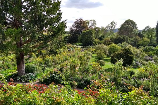Giverny with small group — photograph 4