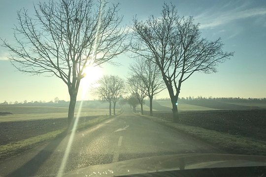 Rental car with driver in Strasbourg - availability 7 hours — billede 4