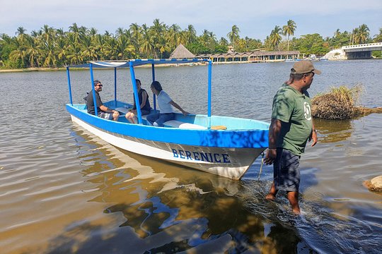 Lagoon Adventure: Jungle, Turtle Release & Cliff Diving Spectacle — photograph 4