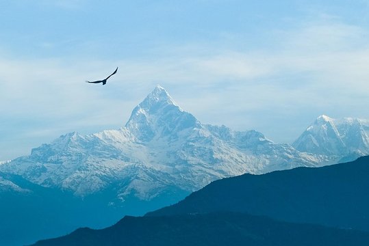 Ghorepani Poonhill Trek — photograph 2