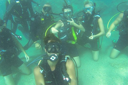 Discover scuba diving — photograph 2