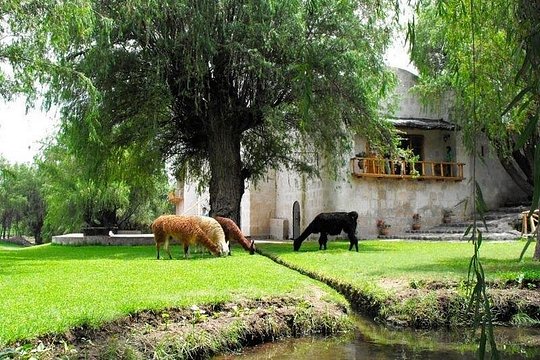 Countryside Tour Arequipa — photograph 4