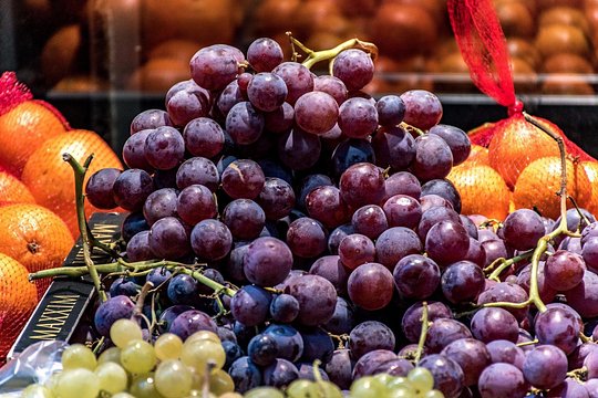 Food Tour Excursion in Provence ! — photograph 2