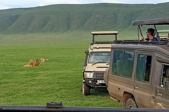 Ngorongoro Day Trip — 사진 3